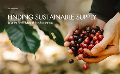 Long-term sustainable coffee sourcing- Solutions for the industry-wide