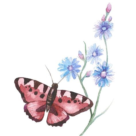 Papillon Peint L Aquarelle L Ments De Conception Dessin S La Main