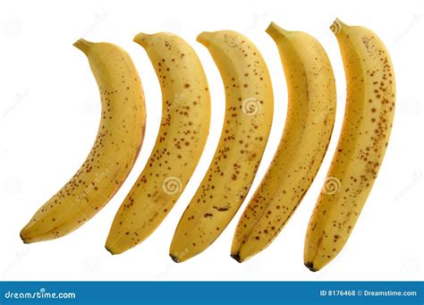 Golden banana stock photo. Image of agriculture, delicious - 8176468