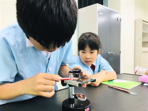 5年生 理科 「解剖顕微鏡を使ってみよう！」 駿台甲府小学校