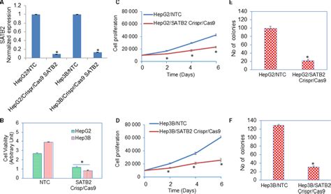 Inhibition Of Satb Expression Suppresses Cell Viability And Stem Cell