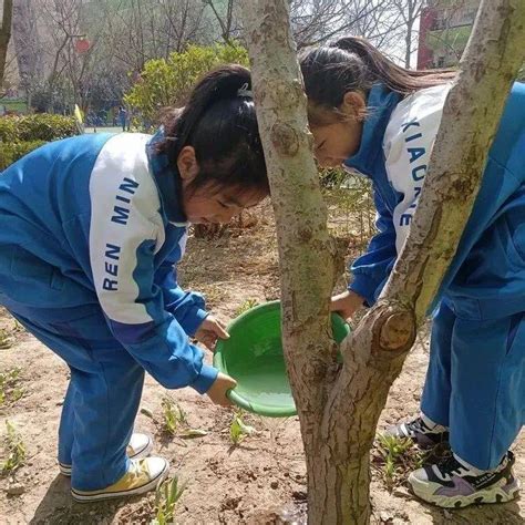 【复兴教体】植树添新绿 不负好时光——复兴区各学校开展植树节活动绿色美好理想阳春