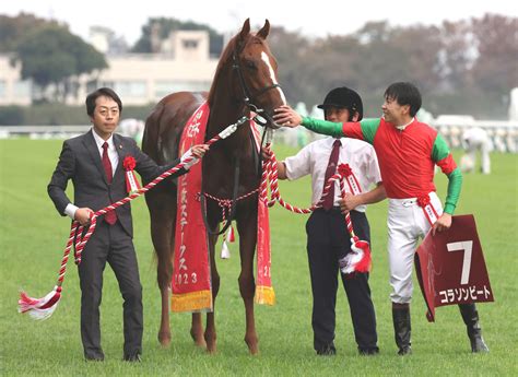 紅一点コラソンビート3連勝、レコードで重賞v 横山武騎手「想像以上のいい脚」／京王杯2歳s 2歳馬特集 競馬写真ニュース 日刊スポーツ