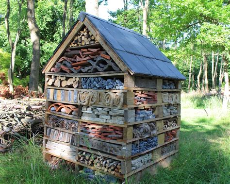 Bricolage Construire Un H Tel Insectes Le Fenouil Biocoop