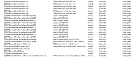 Web Client Is Not Working Sap Business One Sap Community