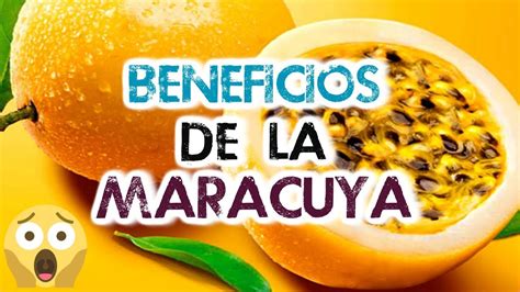 Maracuya Beneficios Y Contraindicaciones Propiedades De La Maracuya