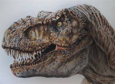 Realistic T Rex Drawing