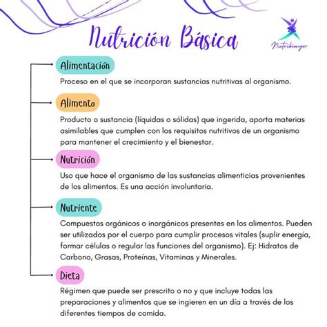 Conceptos básicos nutrición Nutribinyor uDocz