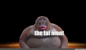 Create meme "monke, monkey uh oh stinky, fat monkey" - Pictures - Meme-arsenal.com