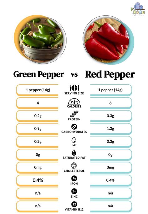 Green Pepper Vs Red Pepper A Simple But Complete Guide