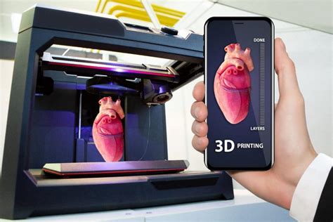 3D Printed Human Organs 3dprinted World