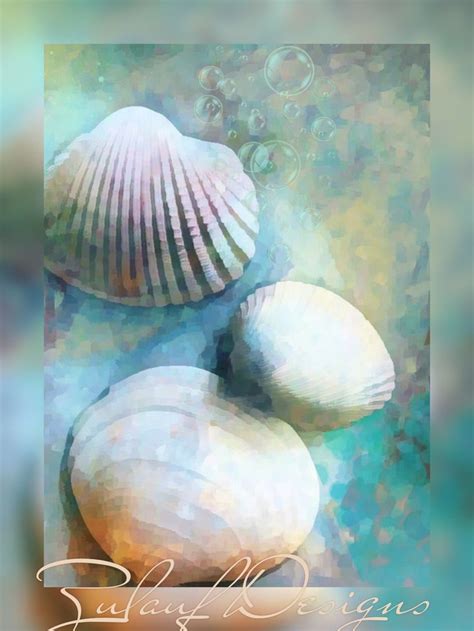 Pin By Susan Zulauf On Zulauf Designs Seashells Photography