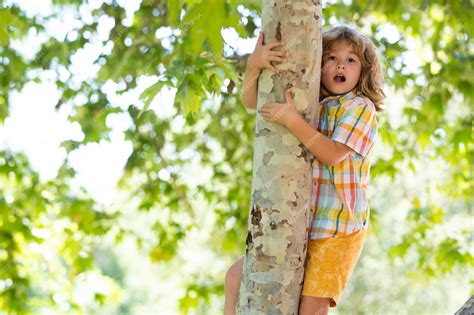 Un Niño Pequeño Y Lindo Disfruta Escalando Un árbol En El Día De Verano