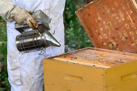 Apiculteurs en colère des centaines de ruches déployées dans le