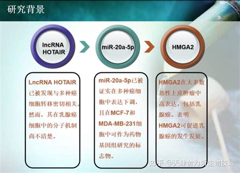 经典cerna科研思路：lncrnamirnamrna轴在癌症发生发展过程中的指导性参考 知乎