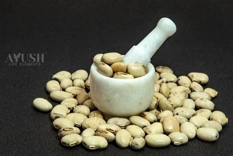 Natural Kaunch Seeds White Mucuna Pruriens Kaunch Seeds Velvet