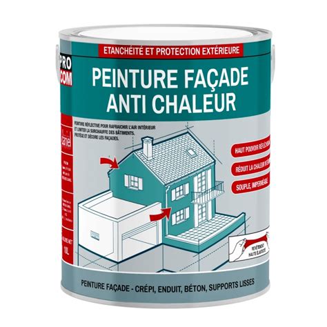 Peinture Fa Ade Anti Chaleur Peinture Blanche R Fl Chissante Procom