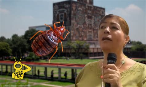 Facu De Chienchias Sociales Abogada Unam Asegura Que La Plaga Viene