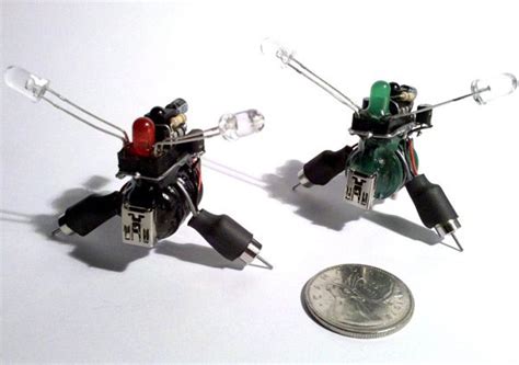 Mini insect robots | RobotShop Community