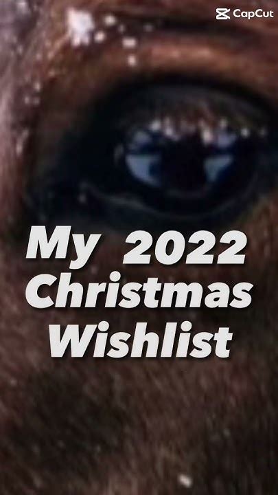 My 2022 Christmas Wish List Youtube