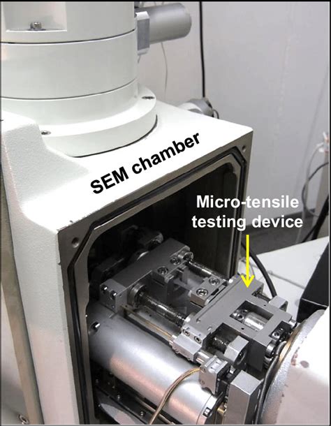 The Setup For The In Situ Tensile Testing In A Scanning Electron