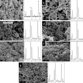 SEM micrographs and EDX spectra of β wRSA before and after soaking in