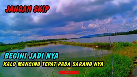 Begini Jadi Nya Kalo Mancing Tepat Sarang Nya Sampai Kuwalahan