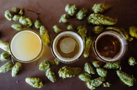 What is IBU in Beer: A Guide for Home Brewers and Beer Connoisseurs