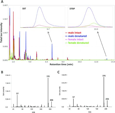 Representative Overlaid Chromatograms Acquired From Intact And Download Scientific Diagram