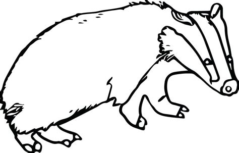 Badger Drawing | Free download on ClipArtMag