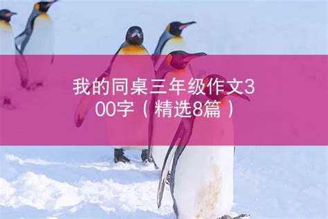 我的同桌三年级作文300字（精选8篇） 作文盒子