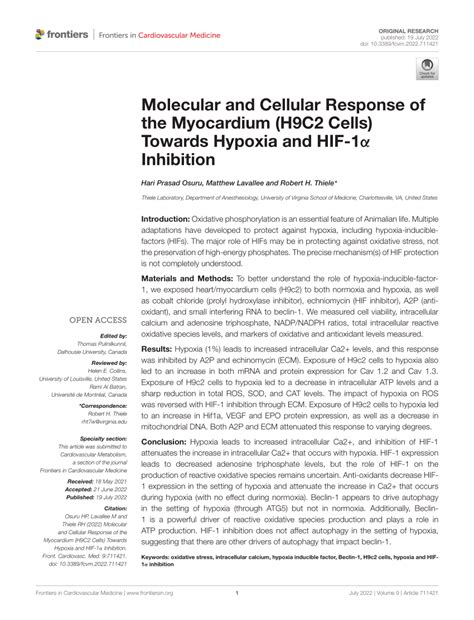 Pdf Molecular And Cellular Response Of The Myocardium H C Cells