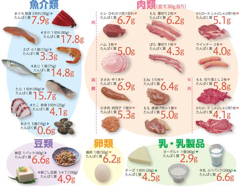 【タンパク質の量とタイミング】1日に必要なタンパク質ってどのくらい？ ストレッチのチカラ