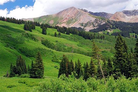 Lush Green Of A Colorado Summer By Cascade Colors Colorado Summer