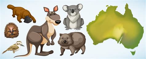 Different wild animals in Australia 298004 Vector Art at Vecteezy