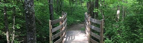 Paw Paw Trail To Hickory Trail Loop Kentucky Reviews Map