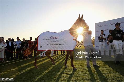 56 Cartier International Dubai Polo Challenge 11th Edition 2015 Final