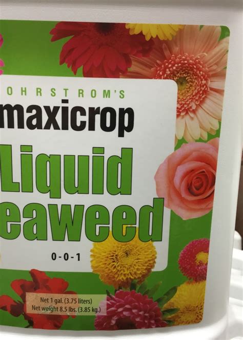 Maxicrop Liquid Seaweed Gal Growers Outlet Willis Texas