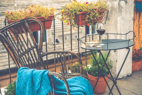 Jesienne kwiaty na balkon jakie wybrać Home