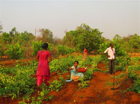 Womens Farming Collectives The Maharashtra Story Vikalp Sangam