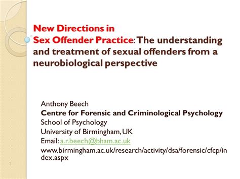 New Directions In Sex Offender Practice The Understanding And Treatment Of Sexual Offenders From