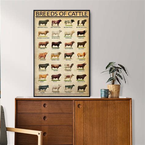 Breeds of Cattle Poster, Cattle Lover Gift, Cattle Vintage Art, Vintage ...