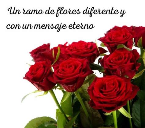 ᐈ Descubre el simbolismo detrás de las rosas y su significado en la ...