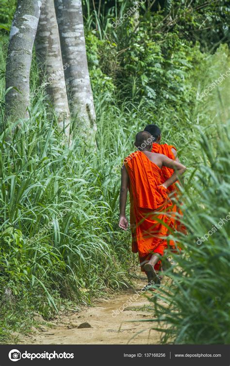 Buddhist Monk Walking In Sinharaja Forest Reserve Sri Lanka — Stock