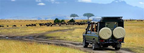 9 Days Tanzania Safari Explore Tanzania Tours Tanzania Tours