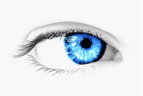 eye transparent eye images png png  kindpng