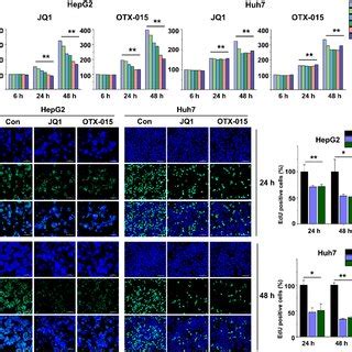 Bet Inhibition Reduced Cell Proliferation Of Hcc A Hcc Cell Lines