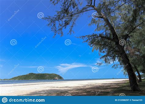 Phang Nga Bay Thailand Beach Island Rainforest Stock Image Image