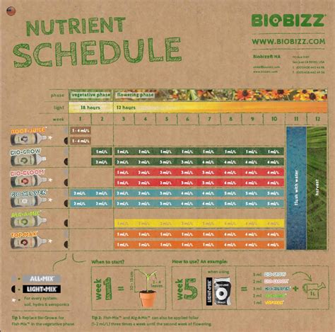 Biobizz Feeding Chart