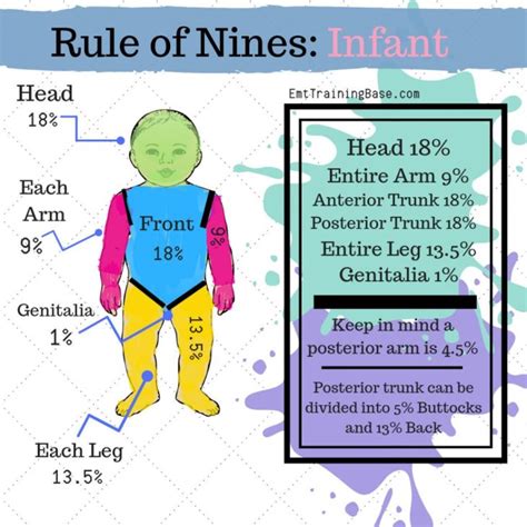 Rule Of Nines For Ems Emt Training Base